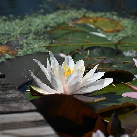Haus Sohl Am Rothaarsteig Bad Laasphe