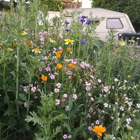 Haus Sohl Am Rothaarsteig Apartamento *