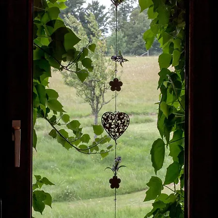 Apartamento Haus Sohl Am Rothaarsteig Bad Laasphe