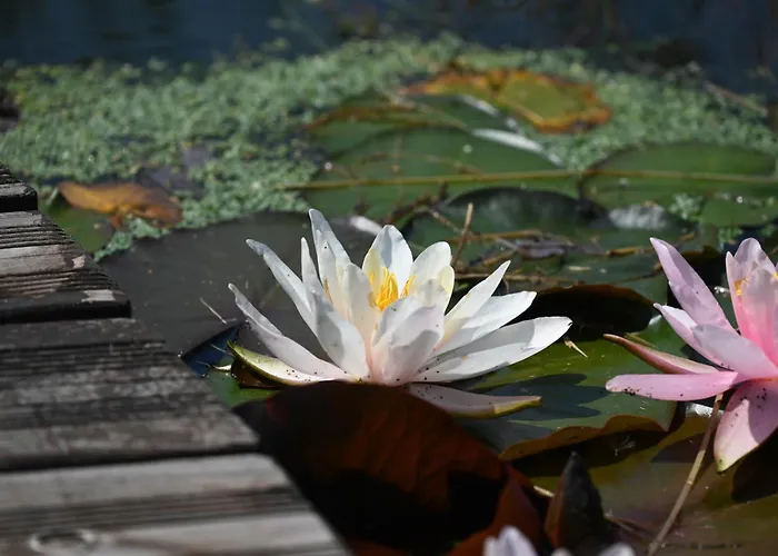 Haus Sohl Am Rothaarsteig Bad Laasphe