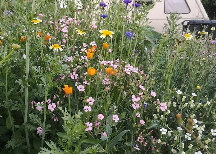 Haus Sohl Am Rothaarsteig Apartmán *