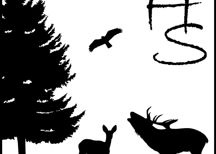 Daire Haus Sohl Am Rothaarsteig Bad Laasphe