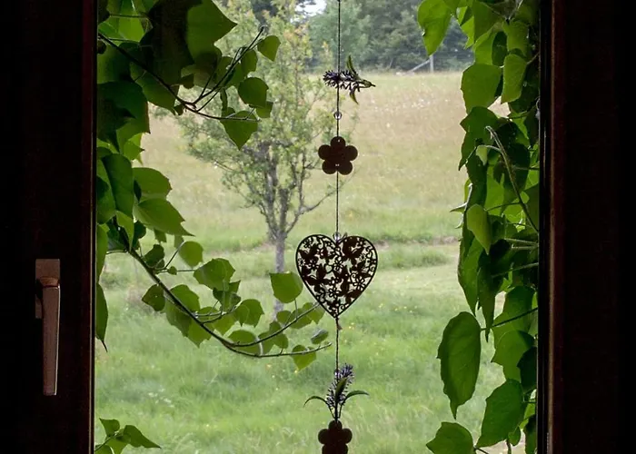 Daire Haus Sohl Am Rothaarsteig Bad Laasphe